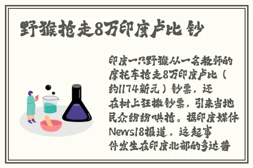 8x8x8x成人亚洲